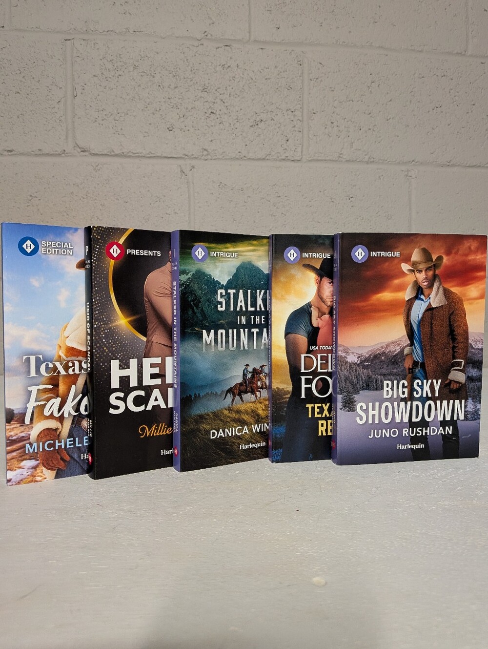 Harlequin Intrigue Bundle Lot of 5 Brand New Romantic Suspense Paperbacks